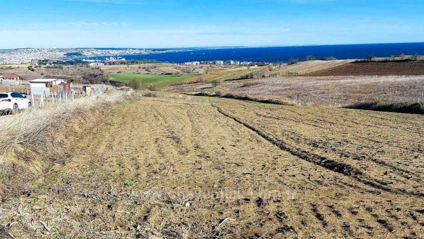 Preisgünstiges Grundstück Mit Freiem Blick Auf Meer, Natur Und Stadt, Bebauungsplan Für 20 % Zweigeschossige Bebauung.