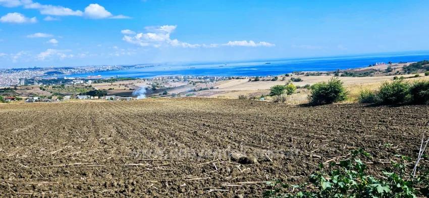 Land Zu Verkaufen in Barbaros Bz. Süleymanpaşa Kumbağ - Villa-Zonierung - 405 m²