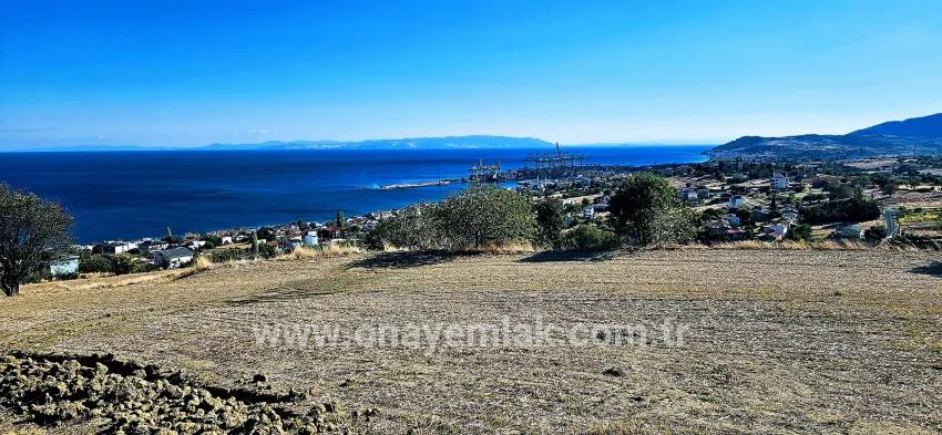 Land Zu verkaufen in Barbaros Bz. Süleymanpaşa Kumbağ - Gehäuse-Zonierung - 2.780 m²