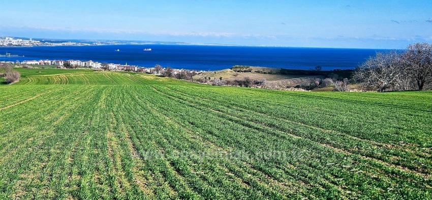 Grundstück Mit Freiem Meer- Und Naturblick, Geeignet Für Ein Villenprojekt Mit 75 Villen In Tekirdağ Barbarosta
