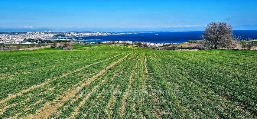 Grundstück Mit Freiem Meer- Und Naturblick, Geeignet Für Ein Villenprojekt Mit 75 Villen In Tekirdağ Barbarosta