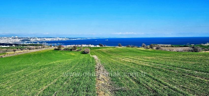 Grundstück Mit Freiem Meer- Und Naturblick, Geeignet Für Ein Villenprojekt Mit 75 Villen In Tekirdağ Barbarosta