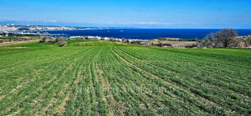 Grundstück Mit Freiem Meer- Und Naturblick, Geeignet Für Ein Villenprojekt Mit 75 Villen In Tekirdağ Barbarosta