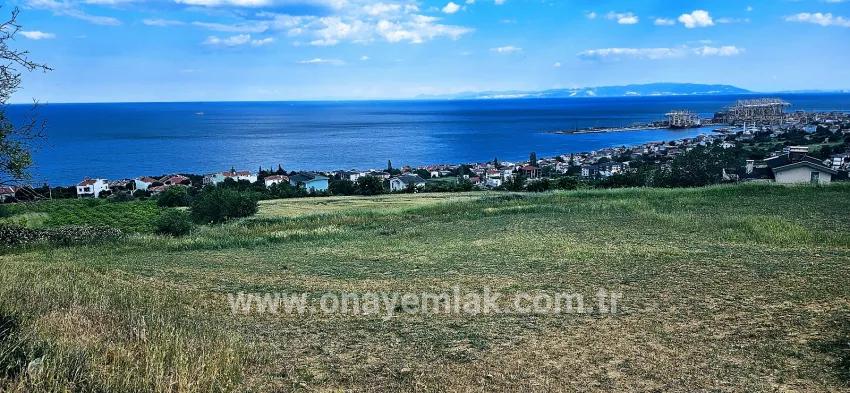 Gelände Zu verkaufen in Barbaros Bz. Süleymanpaşa Kumbağ - Gehäuse-Zonierung - 6.100 m²