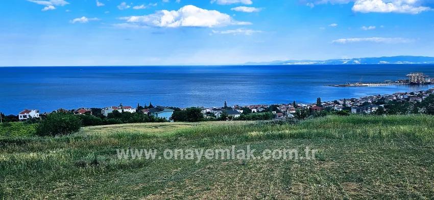 Gelände Zu verkaufen in Barbaros Bz. Süleymanpaşa Kumbağ - Gehäuse-Zonierung - 6.100 m²