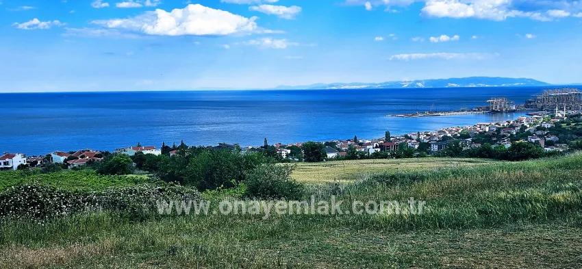 Gelände Zu verkaufen in Barbaros Bz. Süleymanpaşa Kumbağ - Gehäuse-Zonierung - 6.100 m²