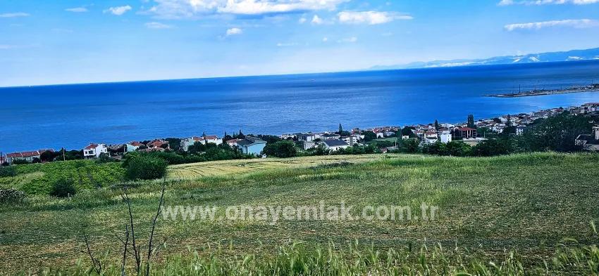 Gelände Zu verkaufen in Barbaros Bz. Süleymanpaşa Kumbağ - Gehäuse-Zonierung - 6.100 m²
