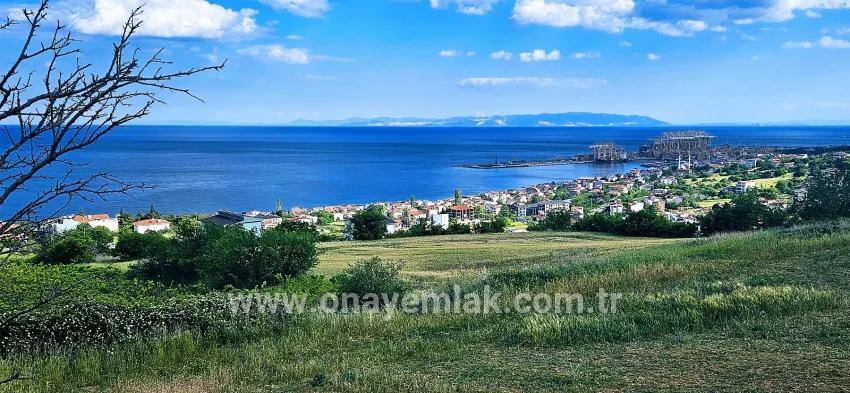 Gelände Zu verkaufen in Barbaros Bz. Süleymanpaşa Kumbağ - Gehäuse-Zonierung - 6.100 m²
