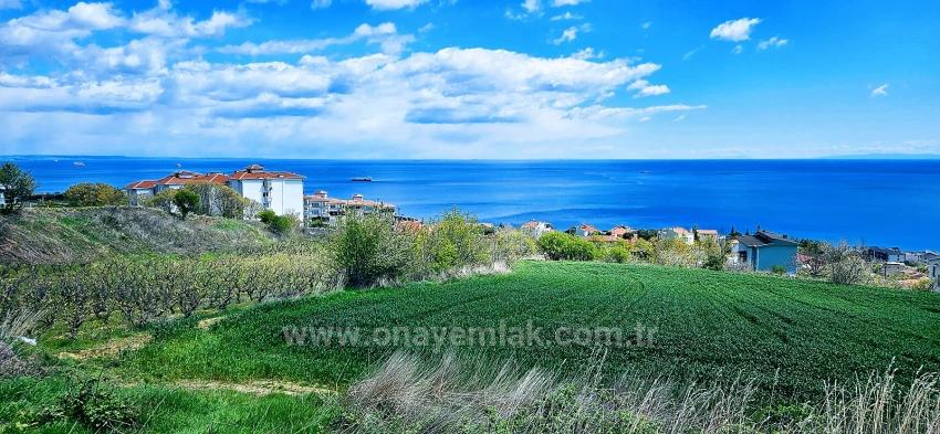 15 Luxuriöse Villen Mit Einzigartigem Panoramablick Auf Meer Und Natur, Gelegen In Einer Für Das Projekt Geeigneten Gegend.
