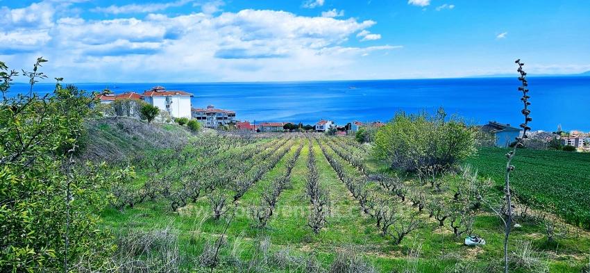 15 Luxuriöse Villen Mit Einzigartigem Panoramablick Auf Meer Und Natur, Gelegen In Einer Für Das Projekt Geeigneten Gegend.