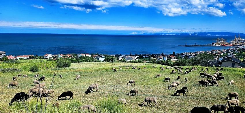45 2+1 Apartments Mit Einzigartigem Panoramablick Auf Meer Und Natur, Geeignet Für Genossenschaftsprojekte