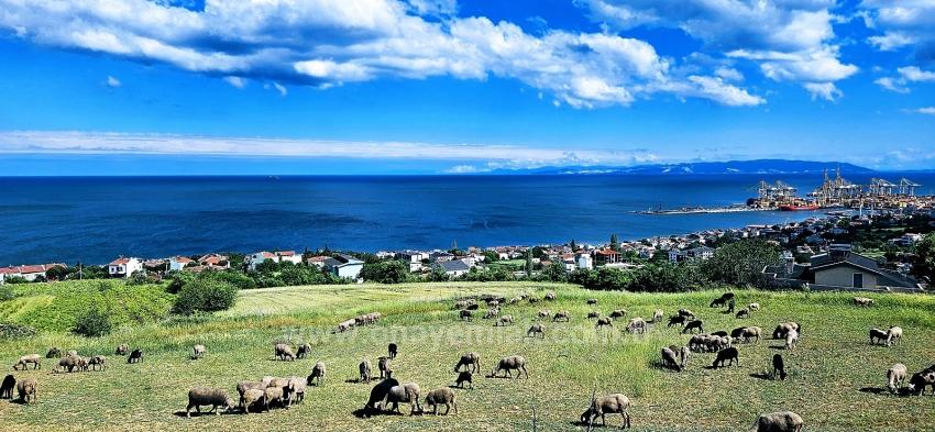 15 Luxuriöse Villen Mit Einzigartigem Panoramablick Auf Meer Und Natur, Gelegen In Einer Für Das Projekt Geeigneten Gegend.