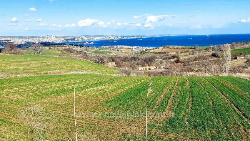 Grundstück Geeignet Für 8 Villenprojekte Mit Vollem Meer- Und Naturblick In Tekirdağ Barbarosta