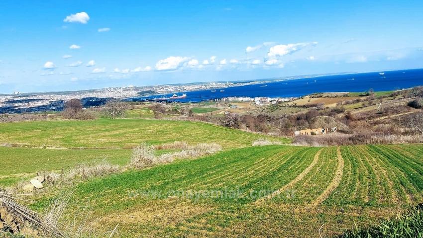 Grundstück Geeignet Für 8 Villenprojekte Mit Vollem Meer- Und Naturblick In Tekirdağ Barbarosta