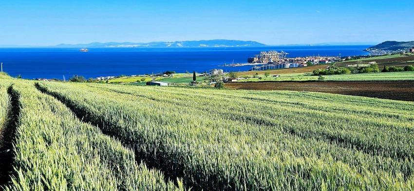 Grundstück Geeignet Für Genossenschafts- Und Bauprojekte Mit 50 Wohnungen Und Freiem Meer- Und Naturblick.