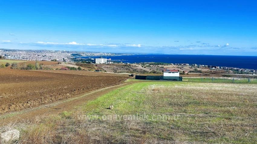 32 Luxusvillen Mit Herrlichem Meer-, Natur- Und Stadtblick, Für Das Projekt Geeignetes Grundstück
