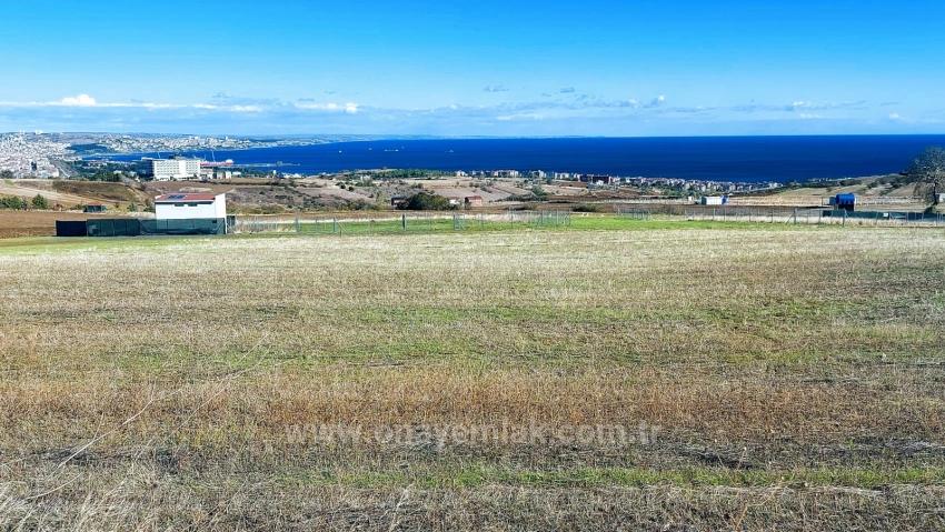 32 Luxusvillen Mit Herrlichem Meer-, Natur- Und Stadtblick, Für Das Projekt Geeignetes Grundstück