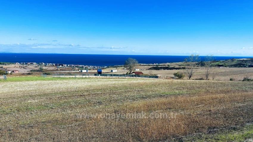 32 Luxusvillen Mit Herrlichem Meer-, Natur- Und Stadtblick, Für Das Projekt Geeignetes Grundstück