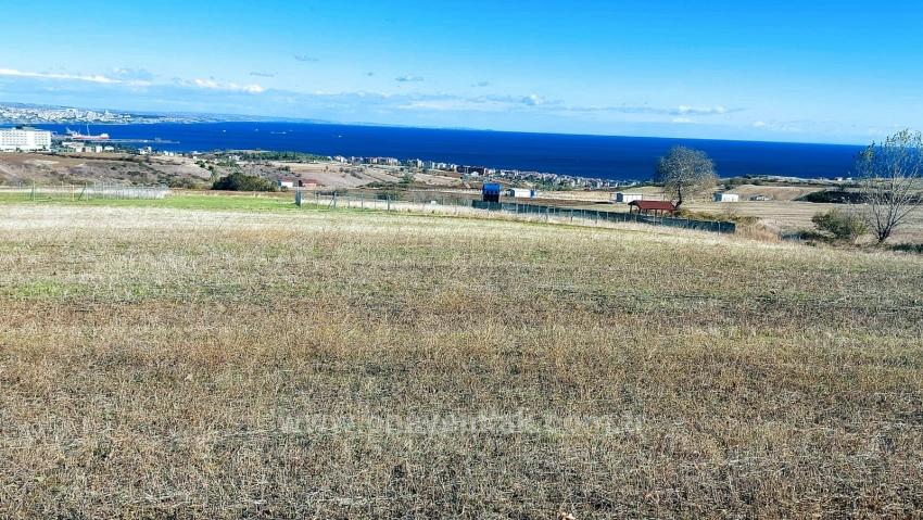 32 Luxusvillen Mit Herrlichem Meer-, Natur- Und Stadtblick, Für Das Projekt Geeignetes Grundstück