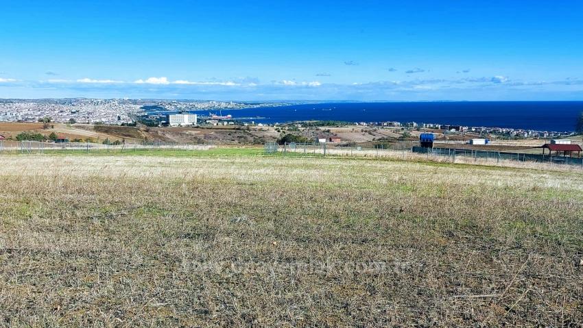32 Luxusvillen Mit Herrlichem Meer-, Natur- Und Stadtblick, Für Das Projekt Geeignetes Grundstück