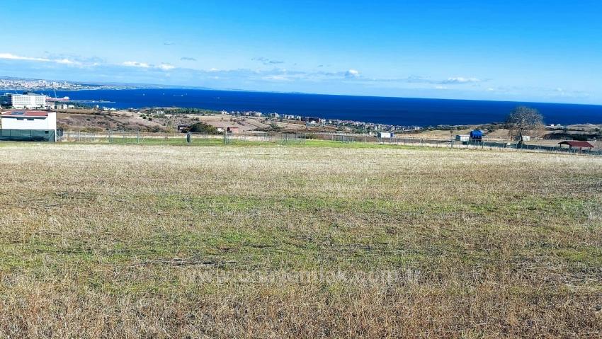 32 Luxusvillen Mit Herrlichem Meer-, Natur- Und Stadtblick, Für Das Projekt Geeignetes Grundstück