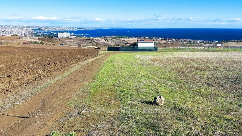 32 Luxusvillen Mit Herrlichem Meer-, Natur- Und Stadtblick, Für Das Projekt Geeignetes Grundstück
