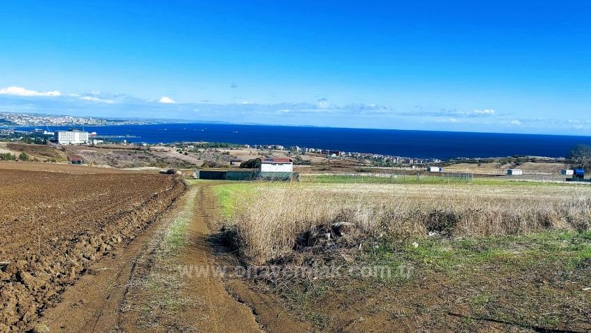 32 Luxusvillen Mit Herrlichem Meer-, Natur- Und Stadtblick, Für Das Projekt Geeignetes Grundstück