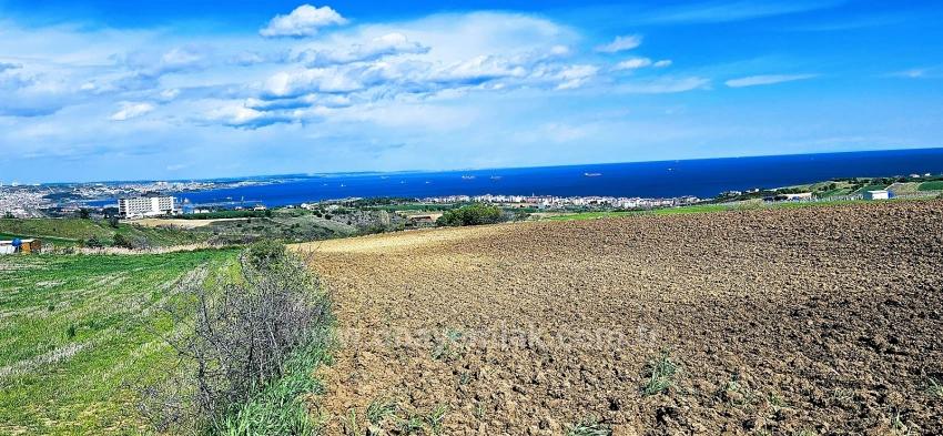 Bewerben Sie Sich Jetzt Für Das Projekt „Luxusvilla In Notfällen Stundenweise Mieten“ Und Profitieren Sie Von Hohen Verdienstmöglichkeiten Sowie Einem Uneingeschränkten Meer- Und Naturblick.