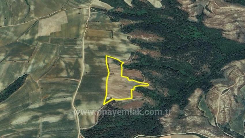 Tauschhandel + Bargeld* Bauen Sie Mit Staatlicher Unterstützung Einen Bauernhof Auf* Produzieren Und Anbauen* Sichern Sie Ihre Zukunft*