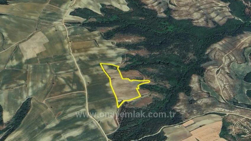 Tauschhandel + Bargeld* Bauen Sie Mit Staatlicher Unterstützung Einen Bauernhof Auf* Produzieren Und Anbauen* Sichern Sie Ihre Zukunft*