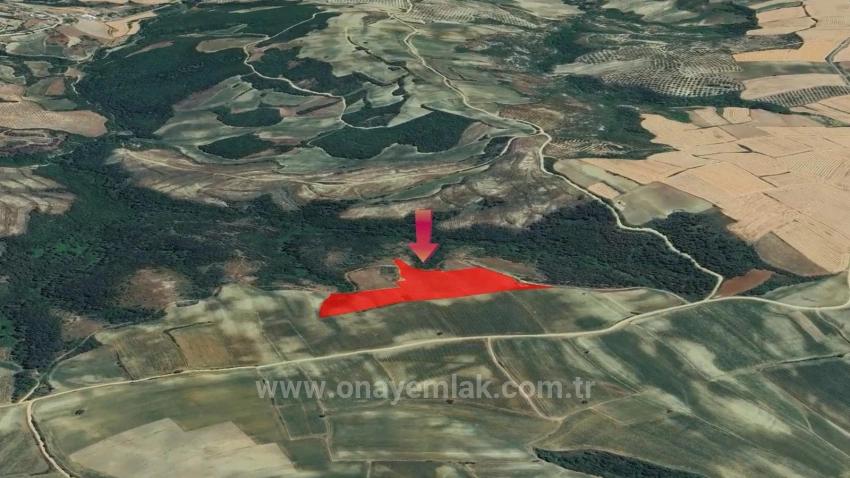 Tauschhandel + Bargeld* Bauen Sie Mit Staatlicher Unterstützung Einen Bauernhof Auf* Produzieren Und Anbauen* Sichern Sie Ihre Zukunft*