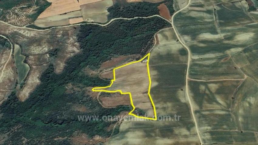 Tauschhandel + Bargeld* Bauen Sie Mit Staatlicher Unterstützung Einen Bauernhof Auf* Produzieren Und Anbauen* Sichern Sie Ihre Zukunft*