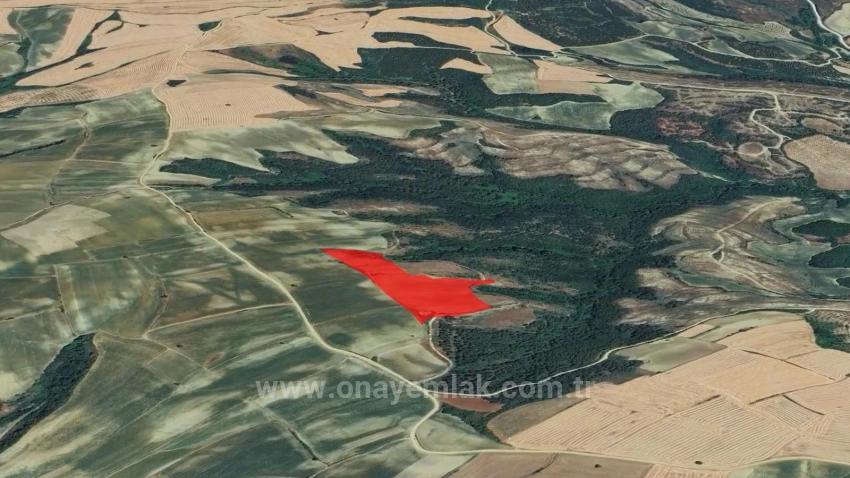 Tauschhandel + Bargeld* Bauen Sie Mit Staatlicher Unterstützung Einen Bauernhof Auf* Produzieren Und Anbauen* Sichern Sie Ihre Zukunft*