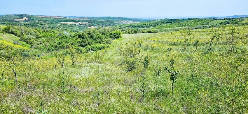 Tauschhandel + Bargeld* Bauen Sie Mit Staatlicher Unterstützung Einen Bauernhof Auf* Produzieren Und Anbauen* Sichern Sie Ihre Zukunft*