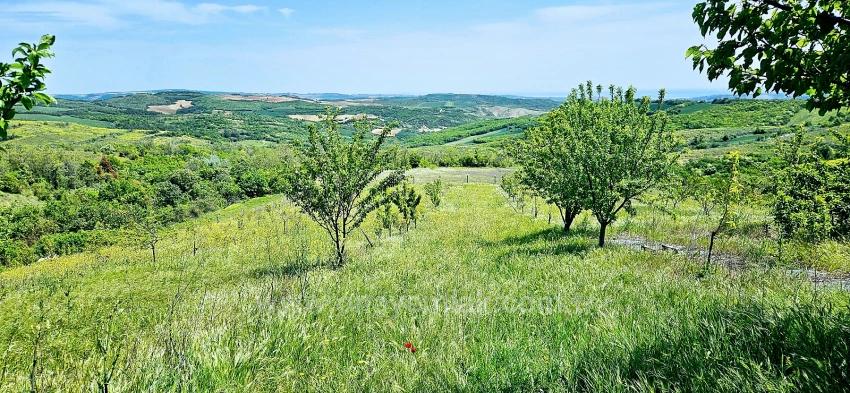 Tauschhandel + Bargeld* Bauen Sie Mit Staatlicher Unterstützung Einen Bauernhof Auf* Produzieren Und Anbauen* Sichern Sie Ihre Zukunft*