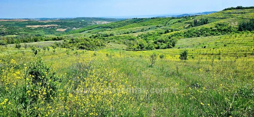 Tauschhandel + Bargeld* Bauen Sie Mit Staatlicher Unterstützung Einen Bauernhof Auf* Produzieren Und Anbauen* Sichern Sie Ihre Zukunft*