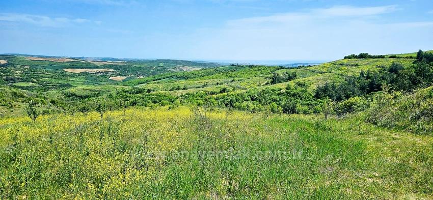 Tauschhandel + Bargeld* Bauen Sie Mit Staatlicher Unterstützung Einen Bauernhof Auf* Produzieren Und Anbauen* Sichern Sie Ihre Zukunft*