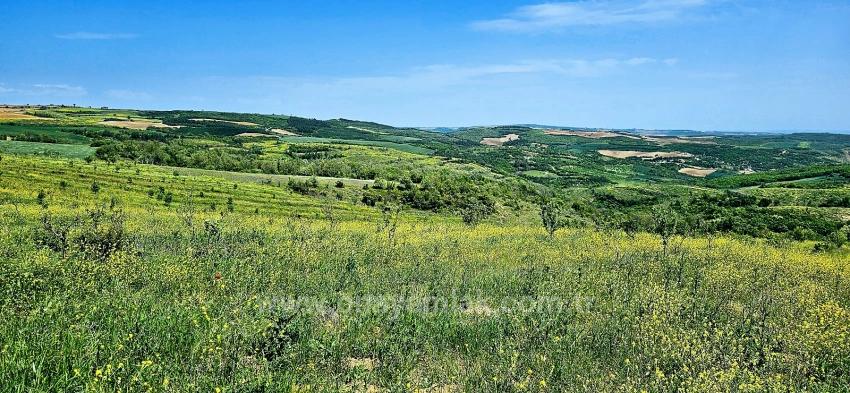 Tauschhandel + Bargeld* Bauen Sie Mit Staatlicher Unterstützung Einen Bauernhof Auf* Produzieren Und Anbauen* Sichern Sie Ihre Zukunft*