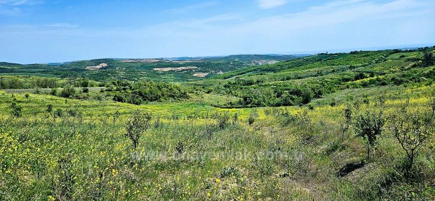 Tauschhandel + Bargeld* Bauen Sie Mit Staatlicher Unterstützung Einen Bauernhof Auf* Produzieren Und Anbauen* Sichern Sie Ihre Zukunft*