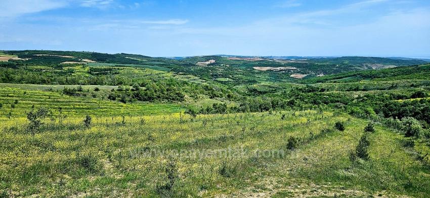Tauschhandel + Bargeld* Bauen Sie Mit Staatlicher Unterstützung Einen Bauernhof Auf* Produzieren Und Anbauen* Sichern Sie Ihre Zukunft*