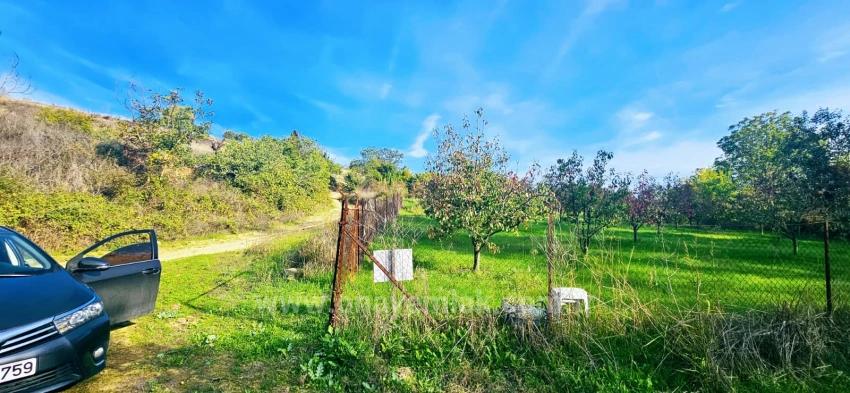 Für Das Abgetrennte Grundstück Besteht Kein Eigentumsanteil. Picknicks Und Grillfeste Sind An Wochenenden Nicht Gestattet.