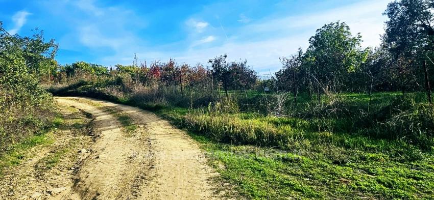 Für Das Abgetrennte Grundstück Besteht Kein Eigentumsanteil. Picknicks Und Grillfeste Sind An Wochenenden Nicht Gestattet.