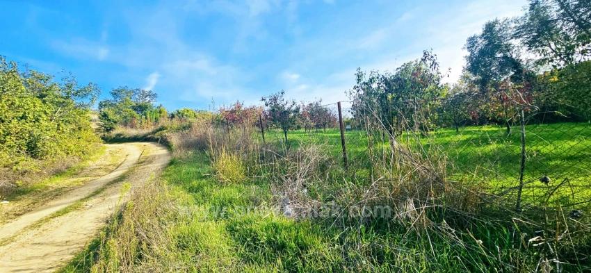 Für Das Abgetrennte Grundstück Besteht Kein Eigentumsanteil. Picknicks Und Grillfeste Sind An Wochenenden Nicht Gestattet.