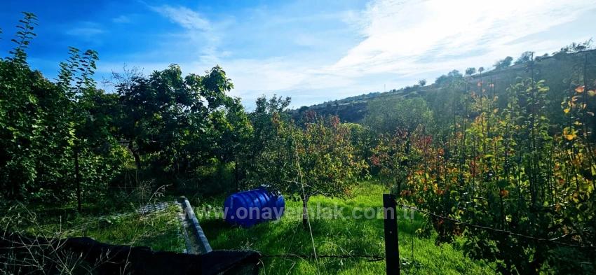 Für Das Abgetrennte Grundstück Besteht Kein Eigentumsanteil. Picknicks Und Grillfeste Sind An Wochenenden Nicht Gestattet.