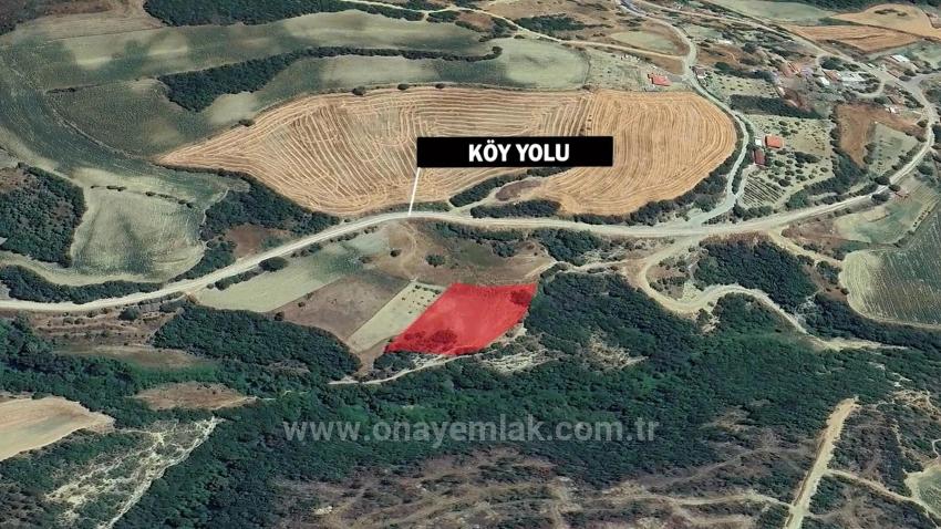 Freistehendes Grundstück, Einzelgrundstück, Nicht Geteilt, In Unmittelbarer Nähe Zur Gemeindegrenze, Dringender Verkauf, Gelegenheit Zum Suchen