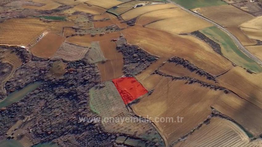 Investitionsmöglichkeit: Garantierter Hoher Gewinn Kurzfristig Für Diejenigen, Die Kaufen Und Verkaufen Möchten.