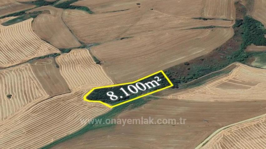 Eine Einmalige Investitionsmöglichkeit: 8.100 M² Schnäppchenland Im Stadtteil Oruç Beyli Von Tekirdağ.