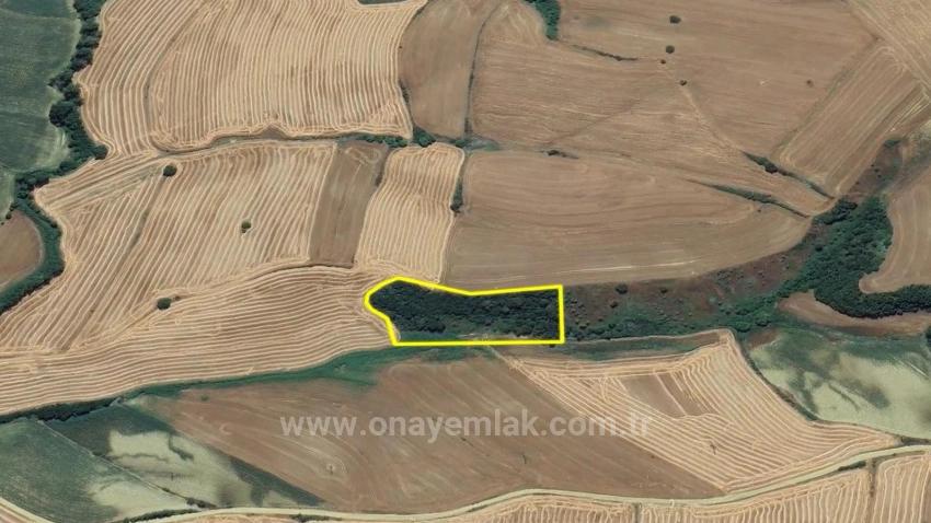 Eine Einmalige Investitionsmöglichkeit: 8.100 M² Schnäppchenland Im Stadtteil Oruç Beyli Von Tekirdağ.