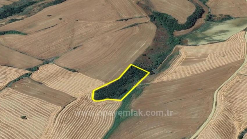 Feld Zu verkaufen in Oruçbeyli Bz. Süleymanpaşa - Feld-Zonierung - 8.100 m²