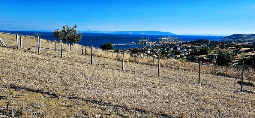 Hohe Gewinngarantie Für Alle, Die Dringend Kaufen Und Verkaufen Müssen – Aufgrund Von Bargeldbedarf.